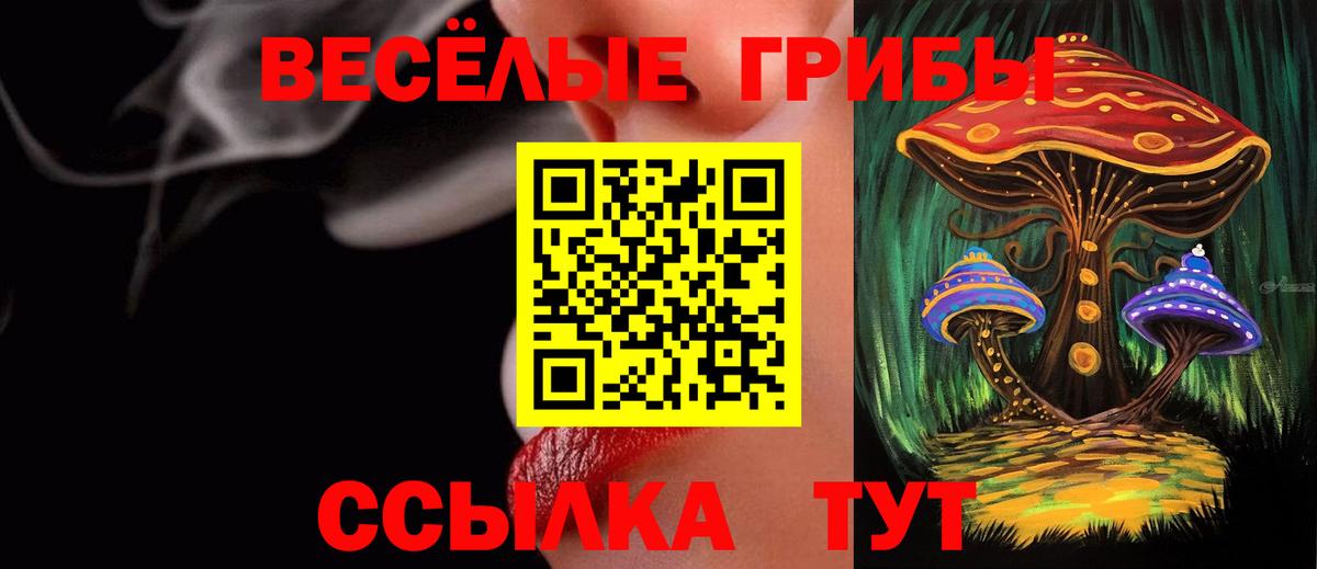 Кинель  Галлюциногенные грибы мицелий  Вход с VPN 